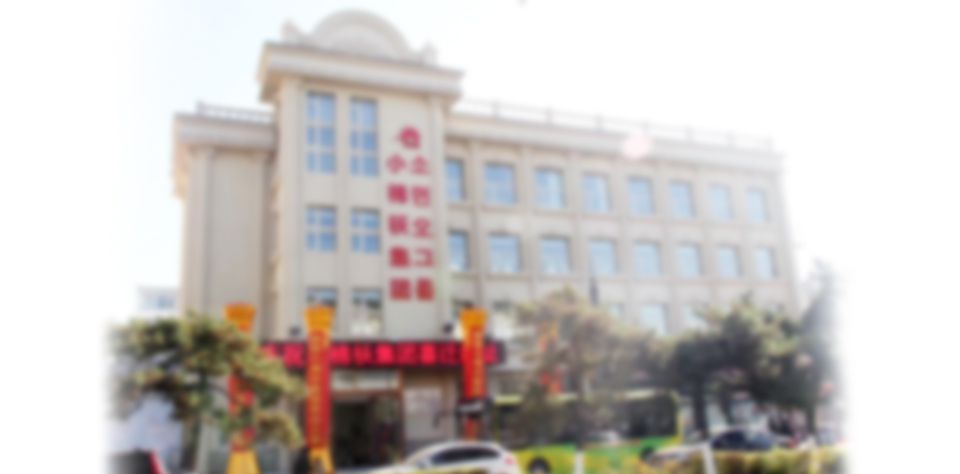 大型臭氧發生器廠家